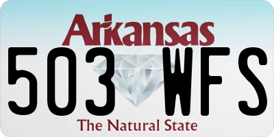 AR license plate 503WFS