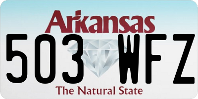 AR license plate 503WFZ