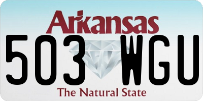 AR license plate 503WGU