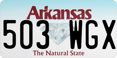 AR license plate 503WGX