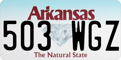 AR license plate 503WGZ