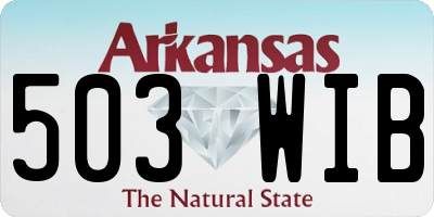AR license plate 503WIB