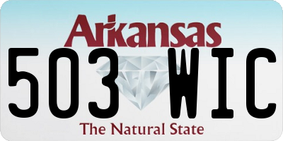 AR license plate 503WIC