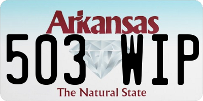 AR license plate 503WIP