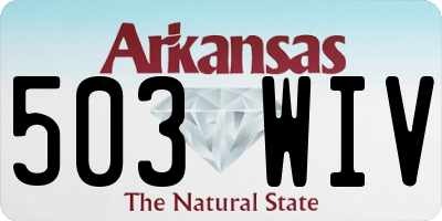 AR license plate 503WIV