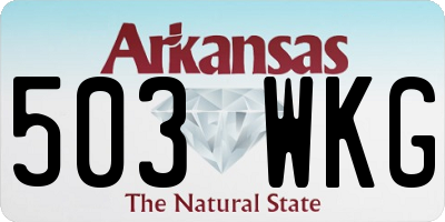 AR license plate 503WKG