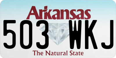 AR license plate 503WKJ