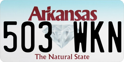 AR license plate 503WKN