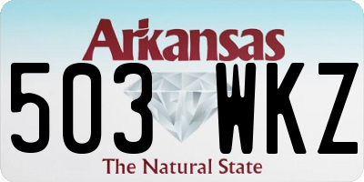 AR license plate 503WKZ