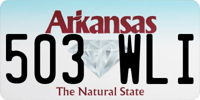 AR license plate 503WLI