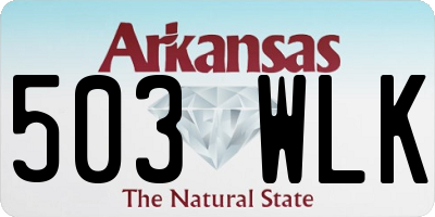 AR license plate 503WLK