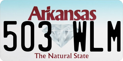 AR license plate 503WLM