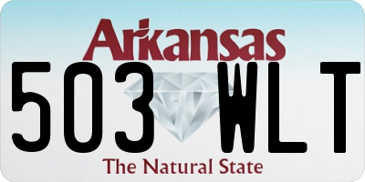 AR license plate 503WLT