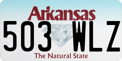 AR license plate 503WLZ