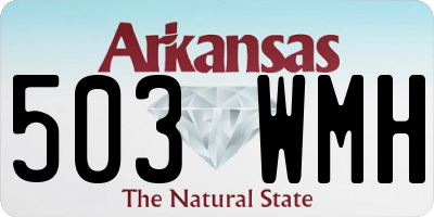 AR license plate 503WMH