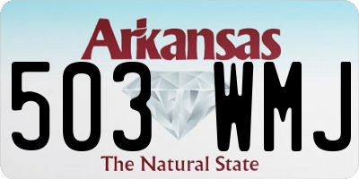 AR license plate 503WMJ