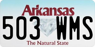 AR license plate 503WMS