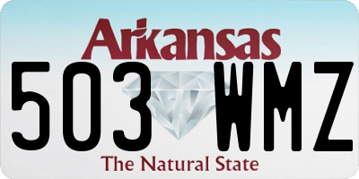 AR license plate 503WMZ