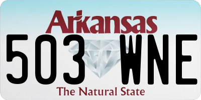 AR license plate 503WNE