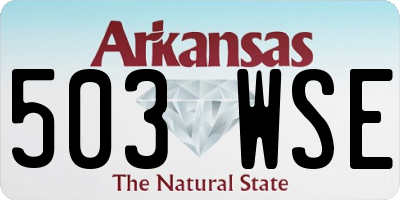 AR license plate 503WSE