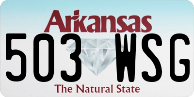 AR license plate 503WSG