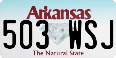 AR license plate 503WSJ