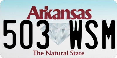 AR license plate 503WSM