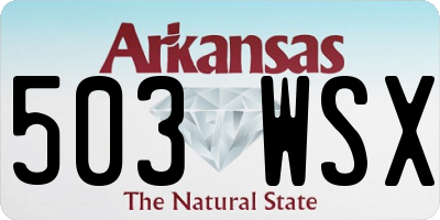 AR license plate 503WSX