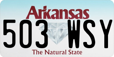 AR license plate 503WSY