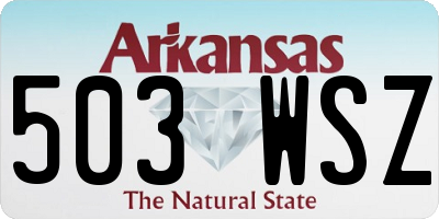 AR license plate 503WSZ