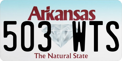 AR license plate 503WTS