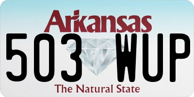 AR license plate 503WUP