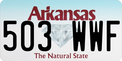 AR license plate 503WWF