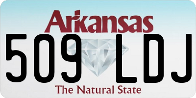 AR license plate 509LDJ