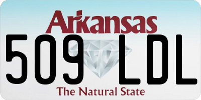 AR license plate 509LDL