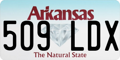 AR license plate 509LDX