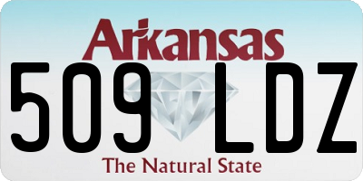 AR license plate 509LDZ