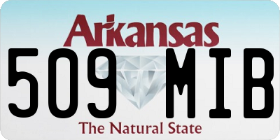 AR license plate 509MIB