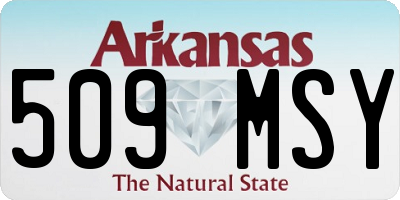 AR license plate 509MSY