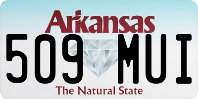 AR license plate 509MUI