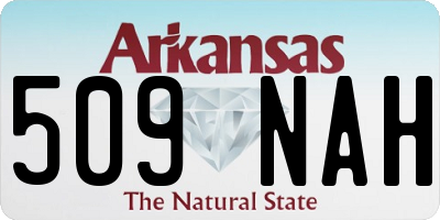 AR license plate 509NAH