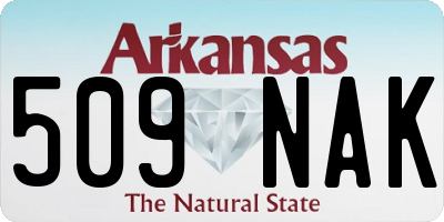 AR license plate 509NAK
