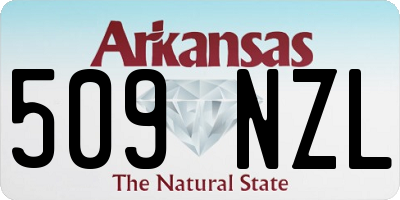 AR license plate 509NZL