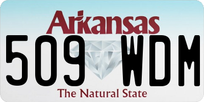 AR license plate 509WDM