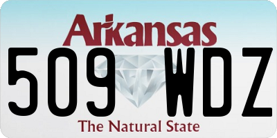 AR license plate 509WDZ
