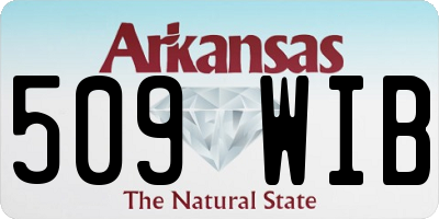 AR license plate 509WIB
