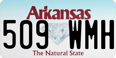 AR license plate 509WMH