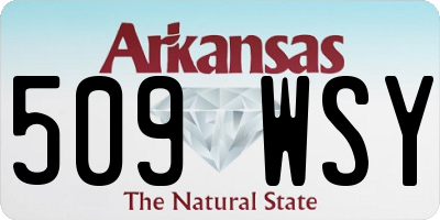 AR license plate 509WSY