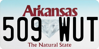 AR license plate 509WUT
