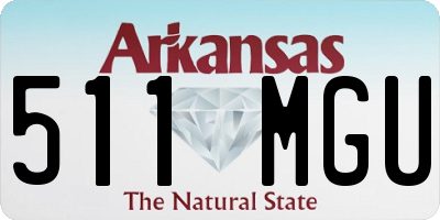 AR license plate 511MGU